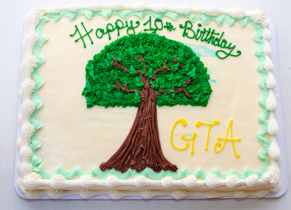 GTA birthday cake